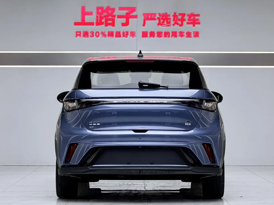 BYD Dolphin dolphin 2023 Knight Edition 2023 — thumbnail 2