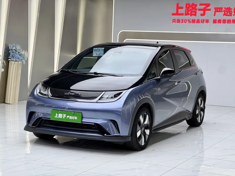 BYD Dolphin dolphin 2023 Knight Edition 2023 — photo 1, buy with delivery to Moscow