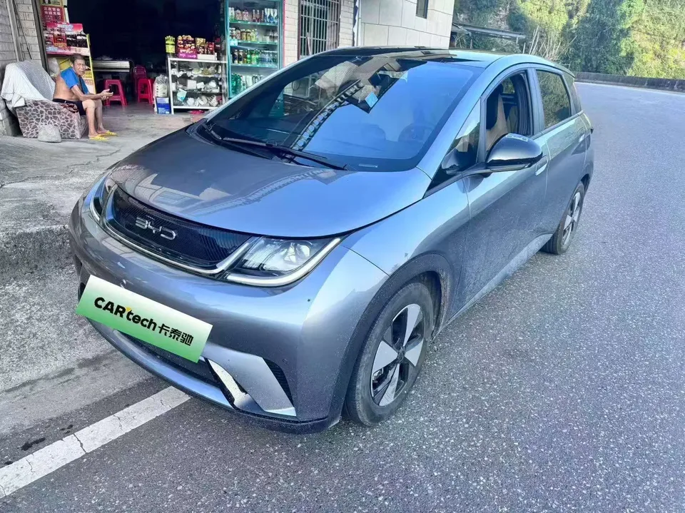 BYD Dolphin dolphin 2023 Fashion version 2024 — photo 1, buy with delivery to Moscow