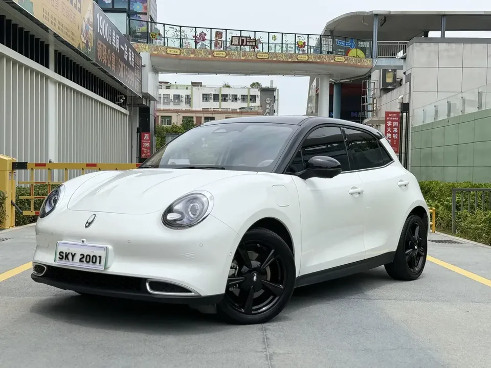 ORA Euler good cat Euler good cat 2024 401km Premium 2024 — photo 1, buy with delivery to Moscow