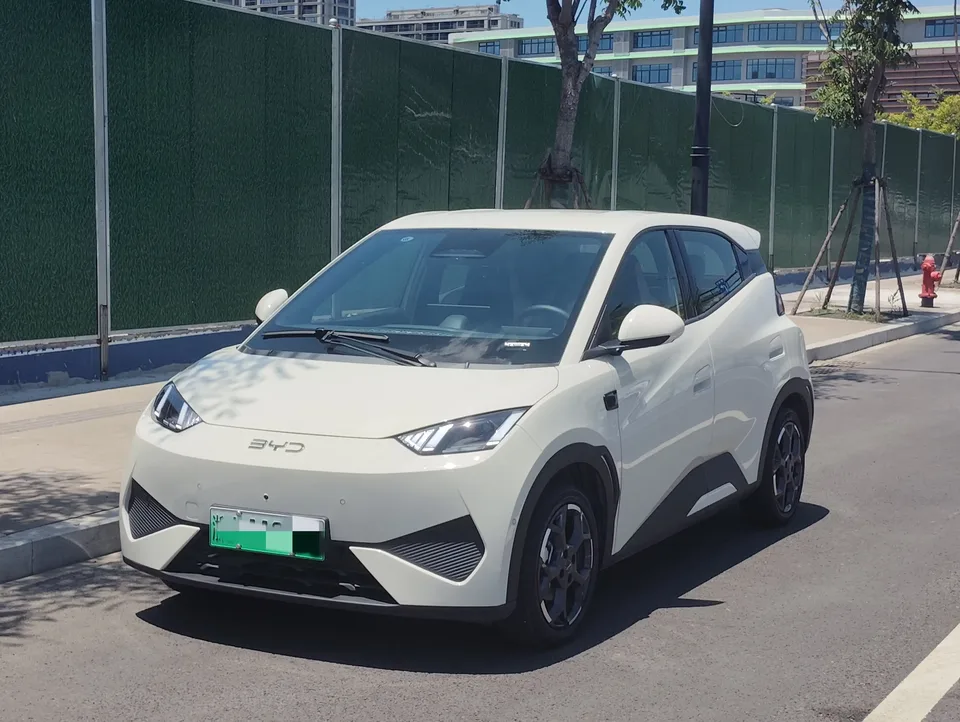 BYD Seagull seagull 2025 Smart Driving Edition 305KM Free Edition 2025 — photo 1, buy with delivery to Moscow