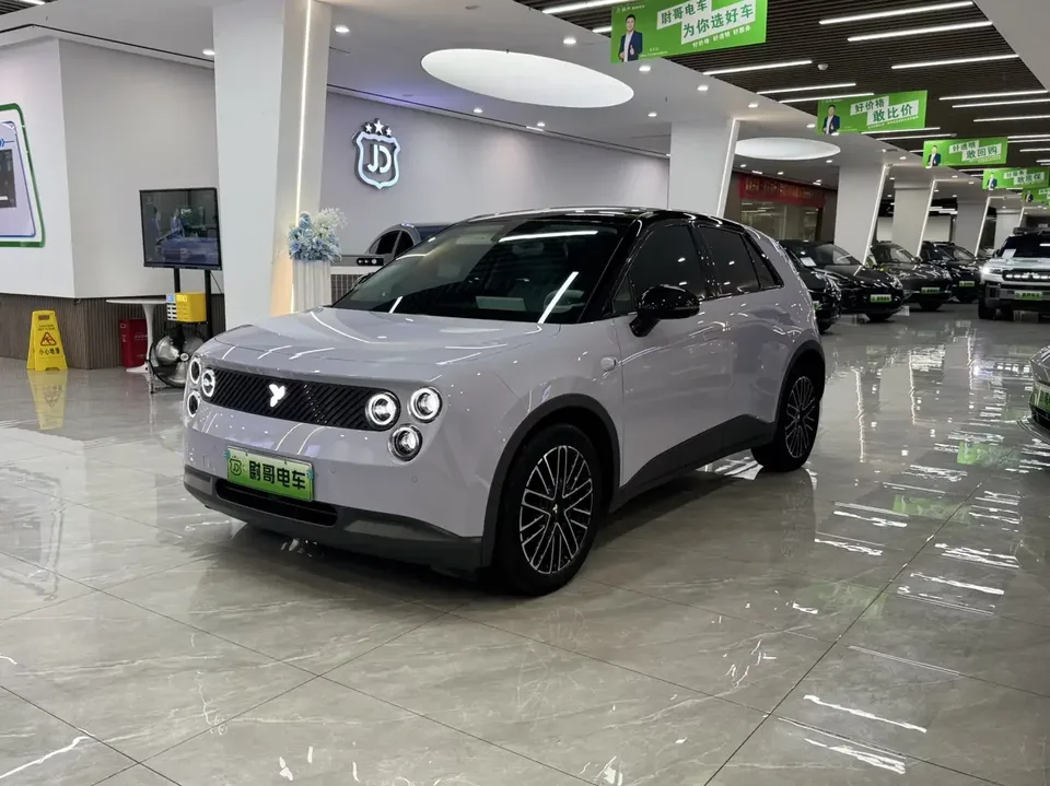 Firefly firefly firefly 2025 Luminous version 2025 — photo 1, buy with delivery to Moscow