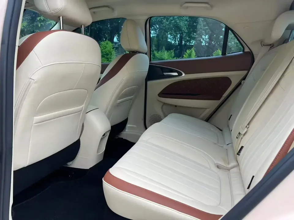 ORA Euler good cat Euler good cat 2024 401km Luxury 2025 — миниатюра 5