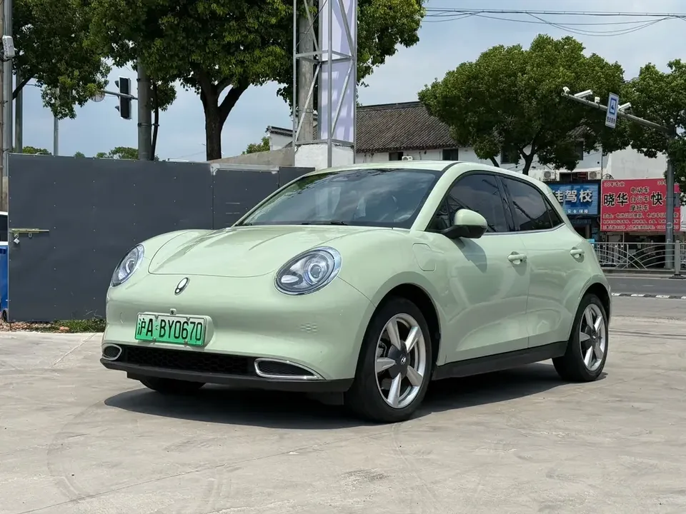 ORA Euler good cat Euler good cat 2023 401km standard endurance luxury lithium iron phosphate 2023 — photo 1, buy with delivery to Moscow