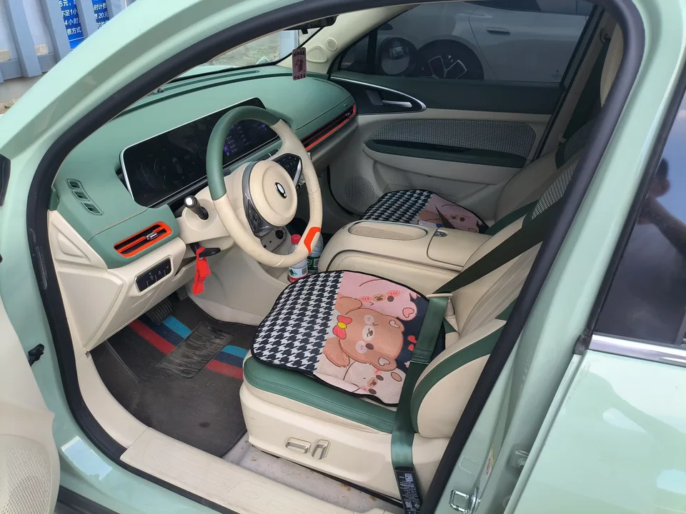 ORA Euler good cat Euler good cat 2023 401km standard endurance luxury lithium iron phosphate 2024 — thumbnail 5