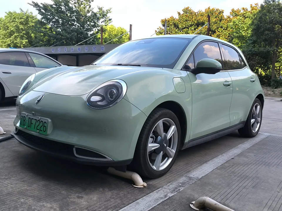 ORA Euler good cat Euler good cat 2023 401km standard endurance luxury lithium iron phosphate 2024 — photo 1, buy with delivery to Moscow