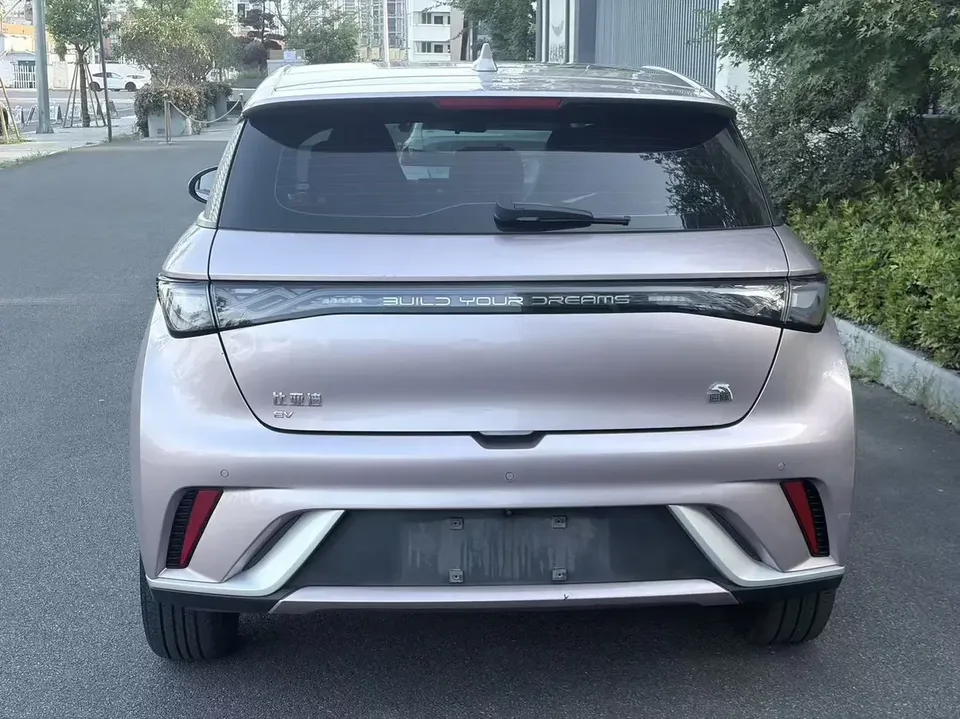 BYD Dolphin dolphin 2023 500,000 Commemorative Edition Pro 2024 — thumbnail 2