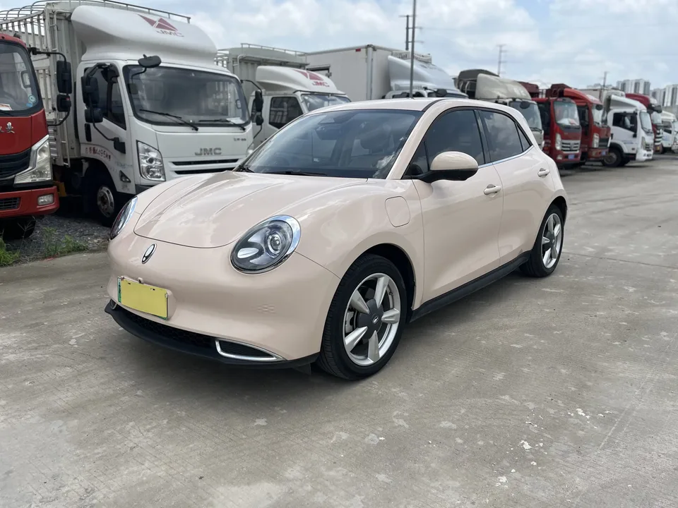 ORA Euler good cat Euler good cat 2023 401km standard endurance premium lithium iron phosphate 2023 — photo 1, buy with delivery to Moscow