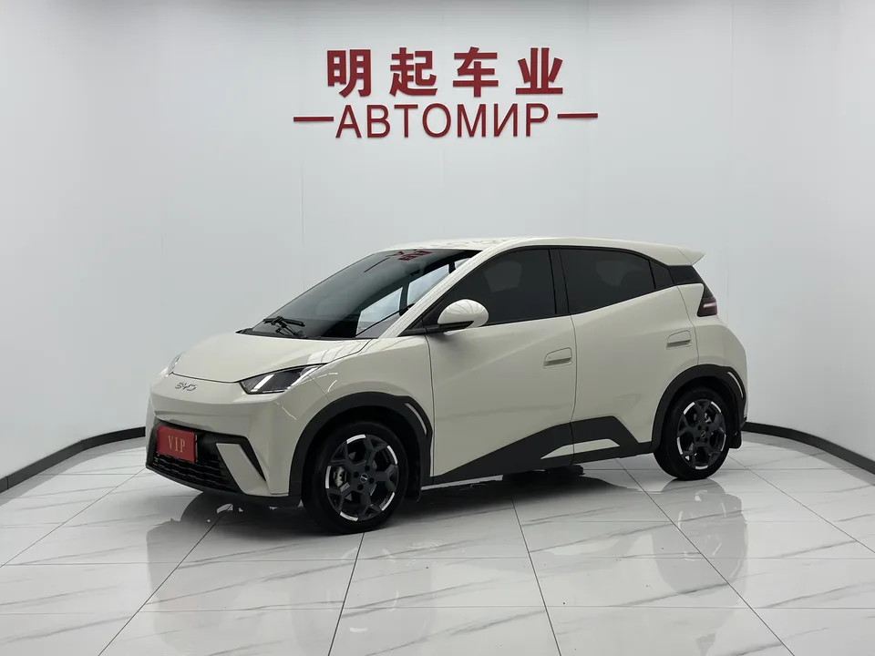 BYD Seagull seagull 2024 Honor Edition 405KM Flying Edition 2024 — photo 1, buy with delivery to Moscow