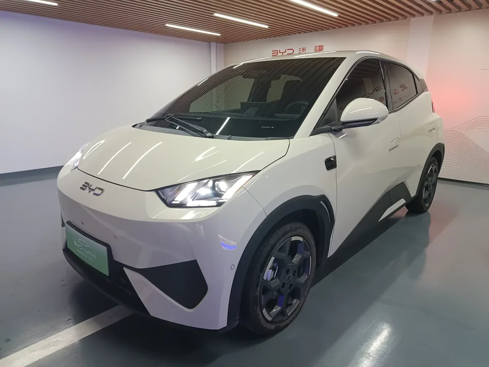 BYD Seagull seagull 2025 Smart Driving Edition 305KM Free Edition 2025 — photo 1, buy with delivery to Moscow