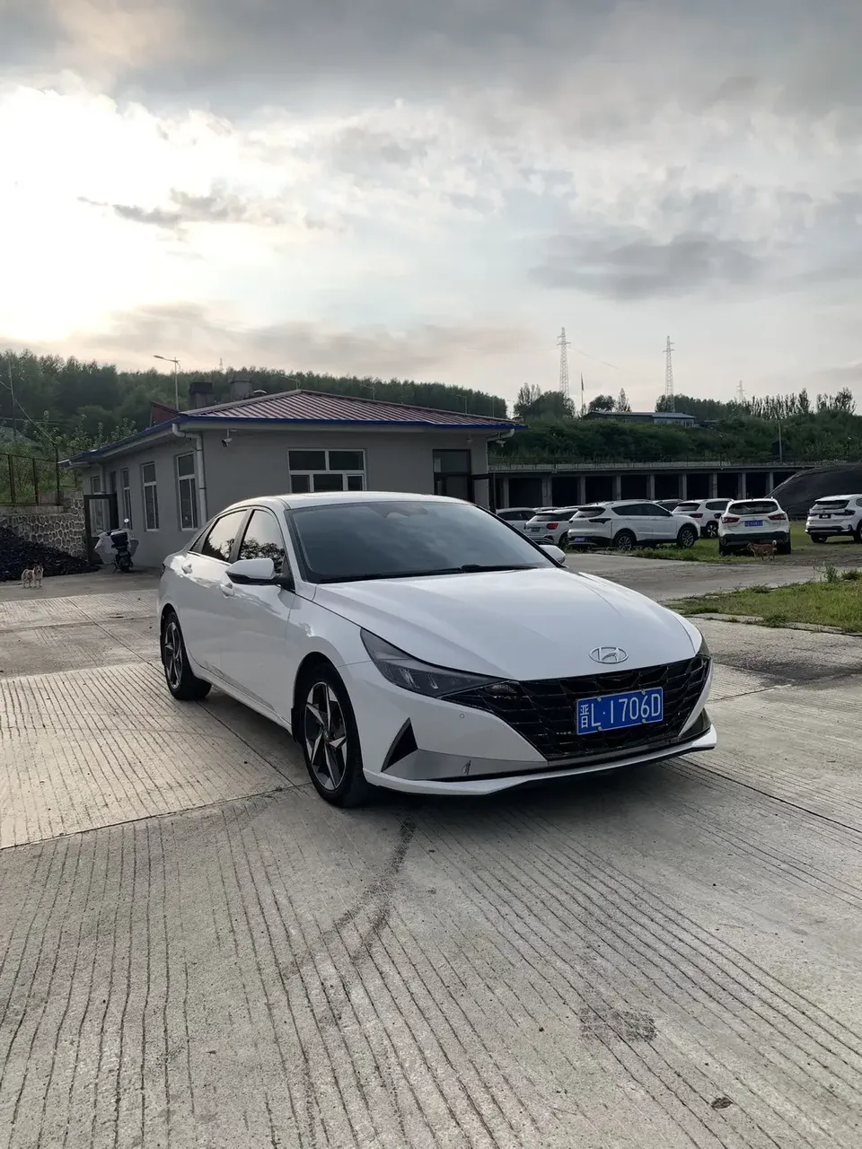Hyundai Elantra Elantra 2022 1.5L CVT LUX Premium Edition 2022 — photo 1, buy with delivery to Moscow