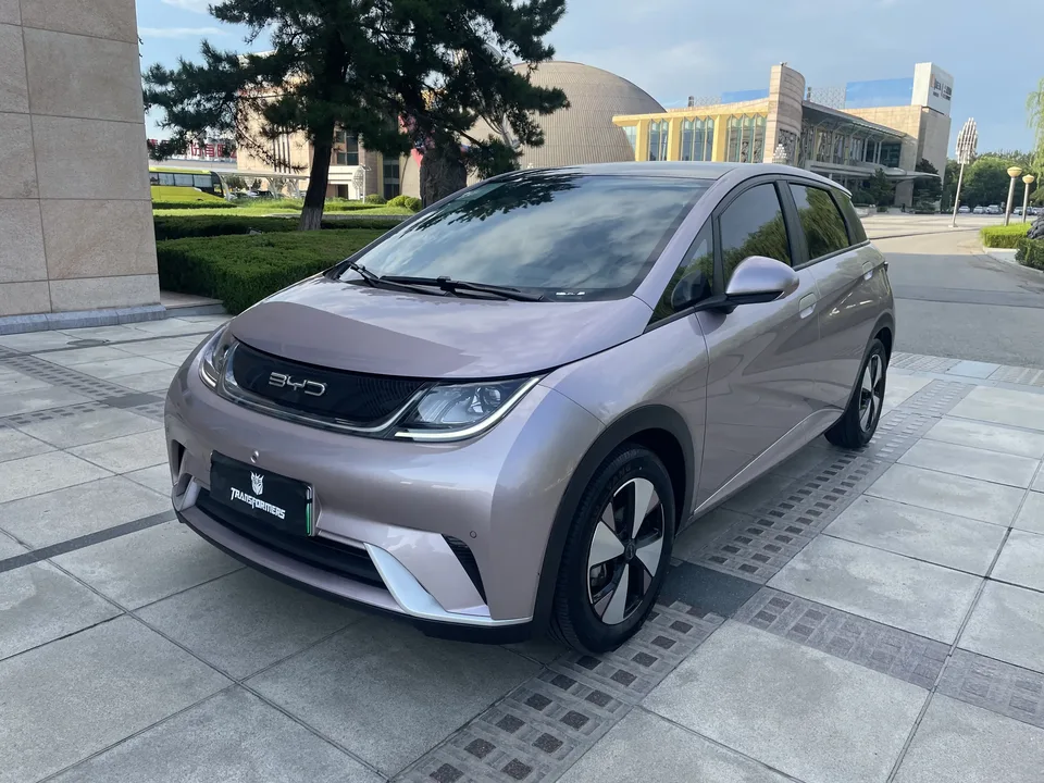 BYD Dolphin dolphin 2023 Free version 2023 — photo 1, buy with delivery to Moscow
