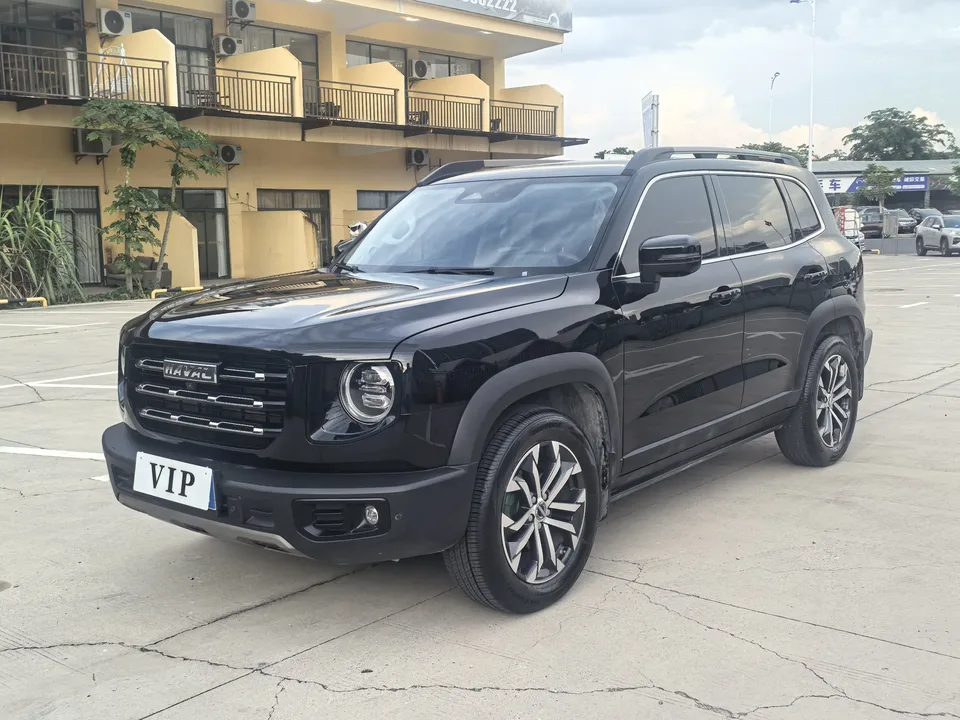 Haval Dargo Harvard dog 2022 1.5T 2WD Border Collie Edition 2023 — thumbnail 3