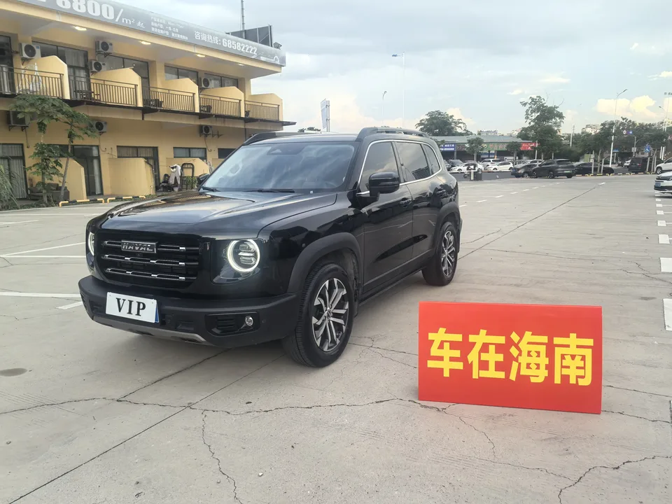 Haval Dargo Harvard dog 2022 1.5T 2WD Border Collie Edition 2023 — photo 1, buy with delivery to Moscow