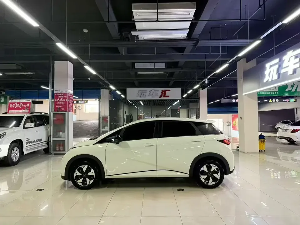 BYD Dolphin dolphin 2025 Smart Driving Edition 420KM Free Edition 2026 — thumbnail 4