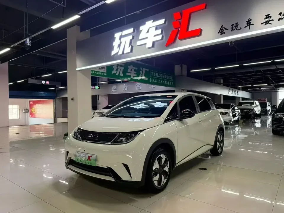BYD Dolphin dolphin 2025 Smart Driving Edition 420KM Free Edition 2026 — photo 1, buy with delivery to Moscow
