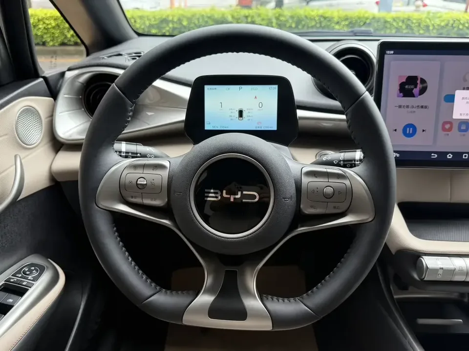 BYD Dolphin dolphin 2025 420KM Free Edition 2026 — thumbnail 5