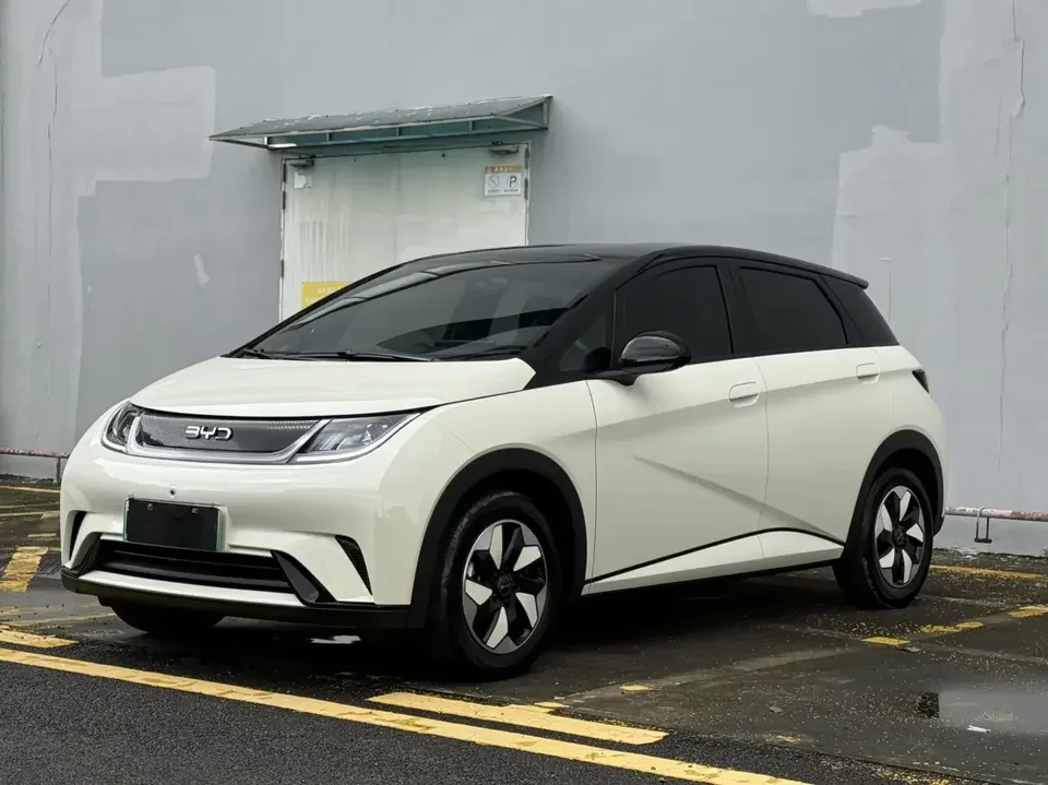BYD Dolphin dolphin 2025 420KM Free Edition 2026 — photo 1, buy with delivery to Moscow