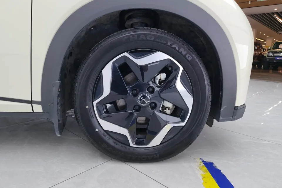 BYD Dolphin dolphin 2025 420KM Vitality Edition 2024 — thumbnail 3
