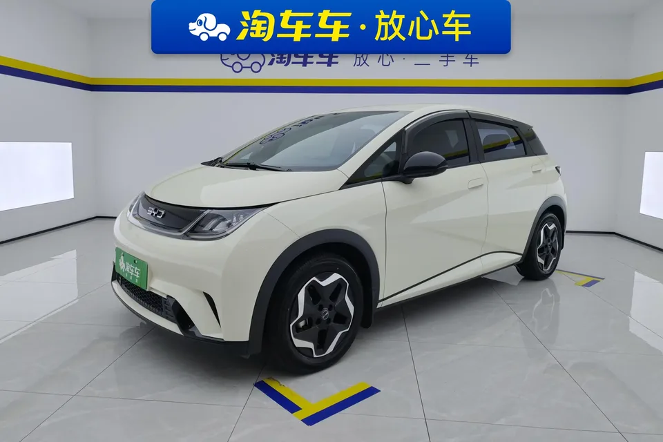 BYD Dolphin dolphin 2025 420KM Vitality Edition 2024 — photo 1, buy with delivery to Moscow