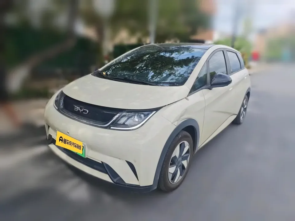 BYD Dolphin dolphin 2025 420KM Fashion Edition 2025 — photo 1, buy with delivery to Moscow