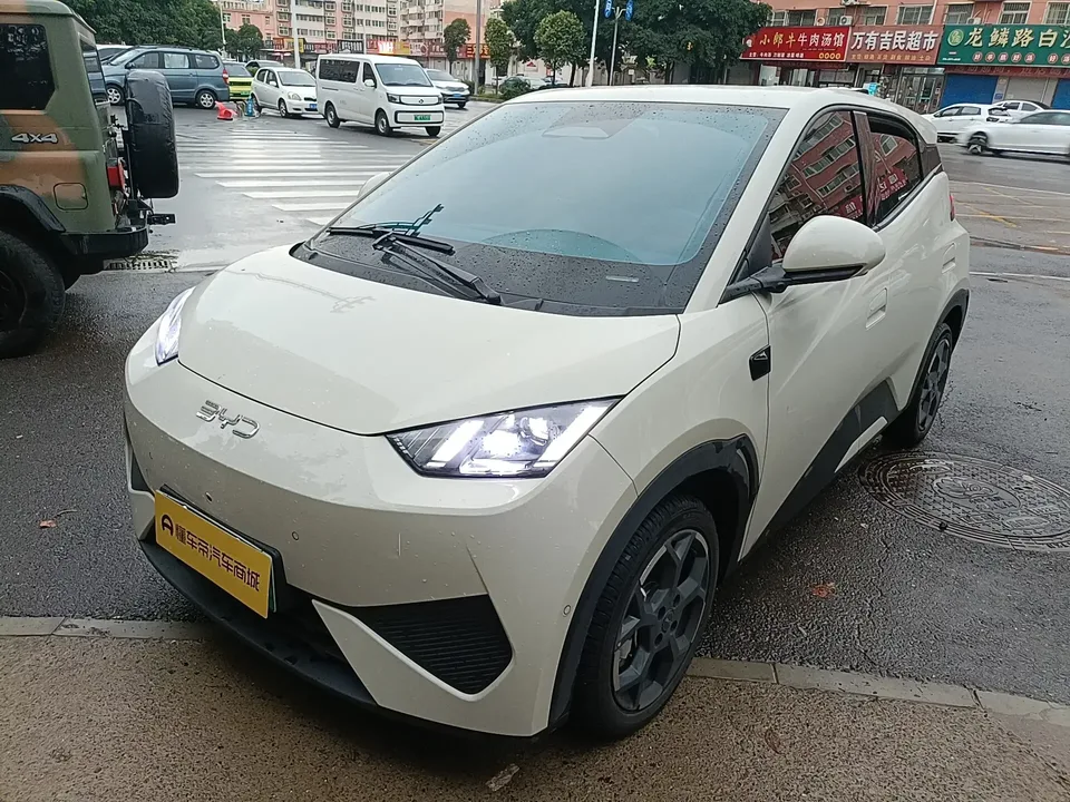 BYD Seagull seagull 2025 Smart Driving Edition 305KM Free Edition 2025 — photo 1, buy with delivery to Moscow