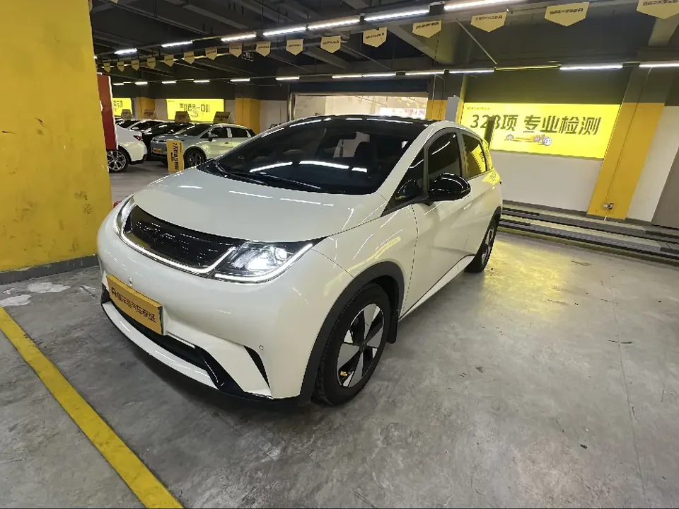 BYD Dolphin dolphin 2023 Fashion version 2023 — photo 1, buy with delivery to Moscow