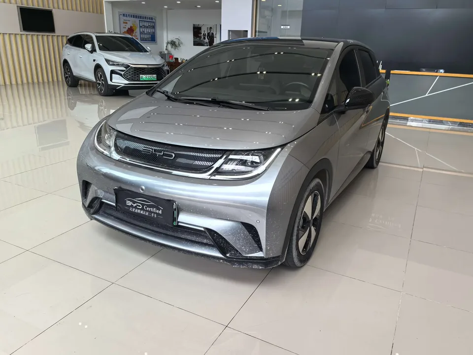 BYD Dolphin dolphin 2023 Fashion version 2023 — photo 1, buy with delivery to Moscow