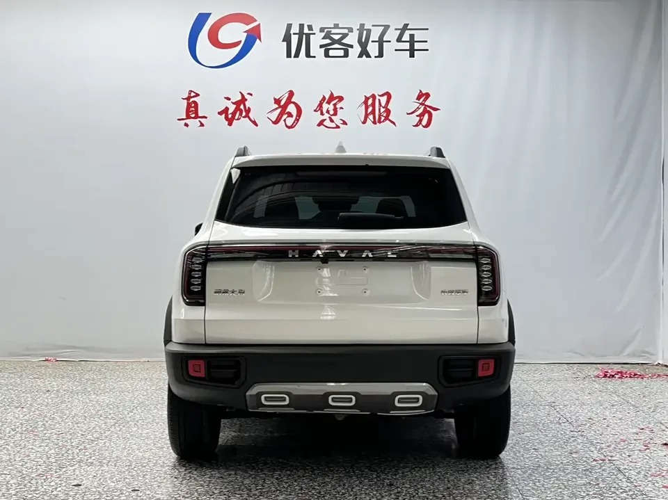 Haval Dargo Harvard dog 2024 1.5T 2WD Border Collie Edition 2024 — thumbnail 2