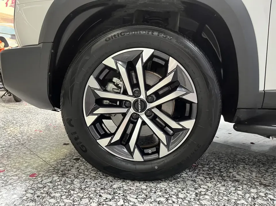 Haval Dargo Harvard dog 2024 1.5T 2WD Border Collie Edition 2024 — thumbnail 3