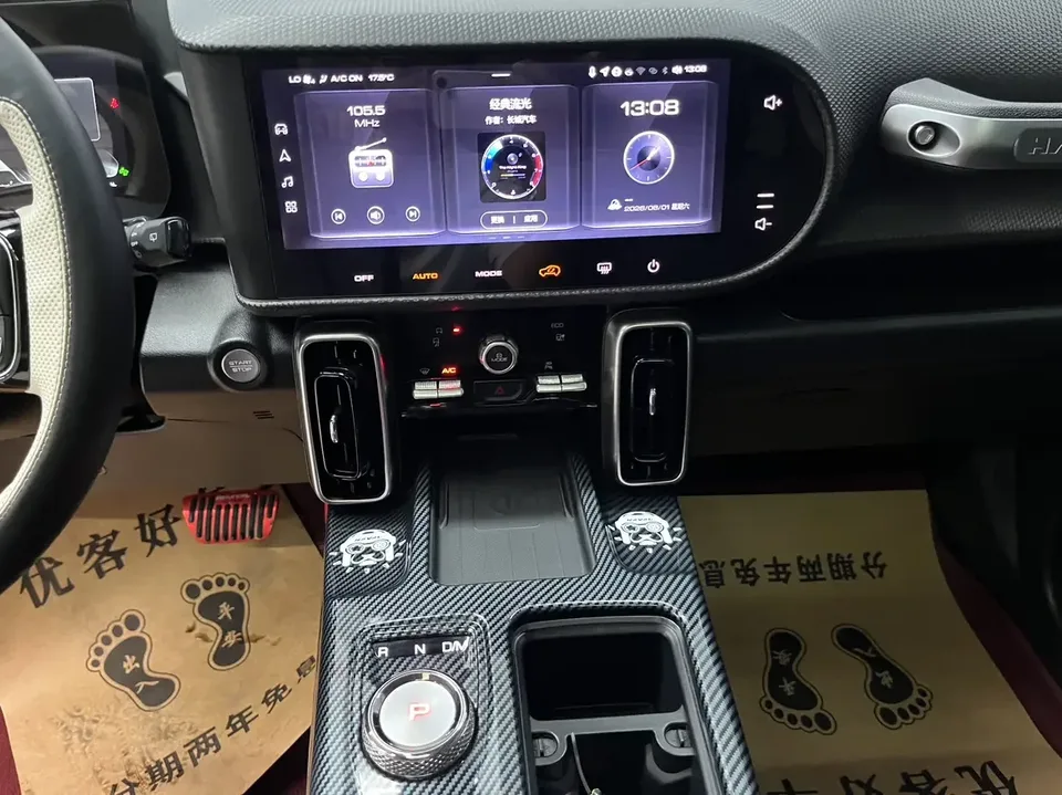 Haval Dargo Harvard dog 2024 1.5T 2WD Border Collie Edition 2024 — thumbnail 4
