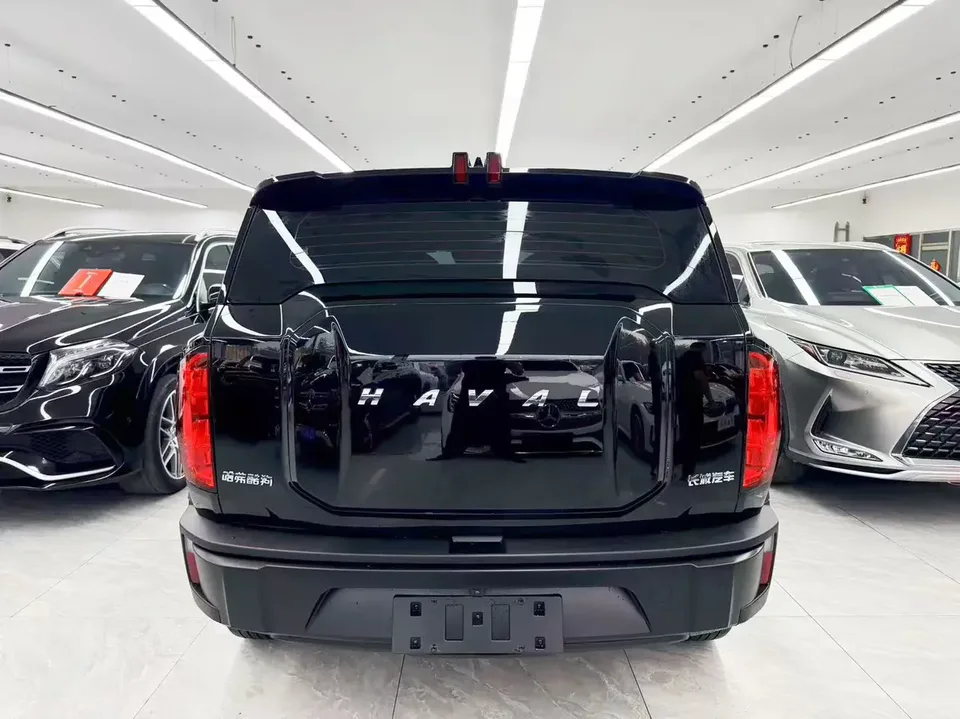 Haval cool dog Haval cool dog 2022 1.5T Wild Edition 2022 — thumbnail 2