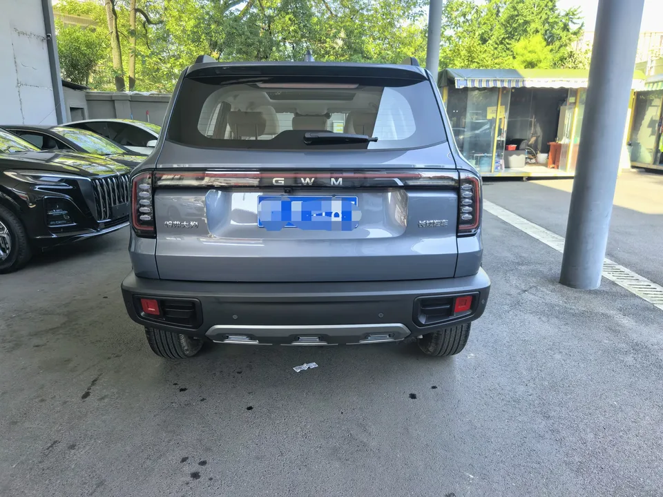 Haval Dargo Harvard dog 2026 1.5T 2WD Border Collie Edition 2025 — thumbnail 2