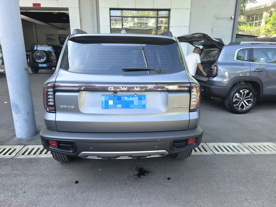 Haval Dargo Harvard dog 2026 1.5T 2WD Border Collie Edition 2025 — thumbnail 2