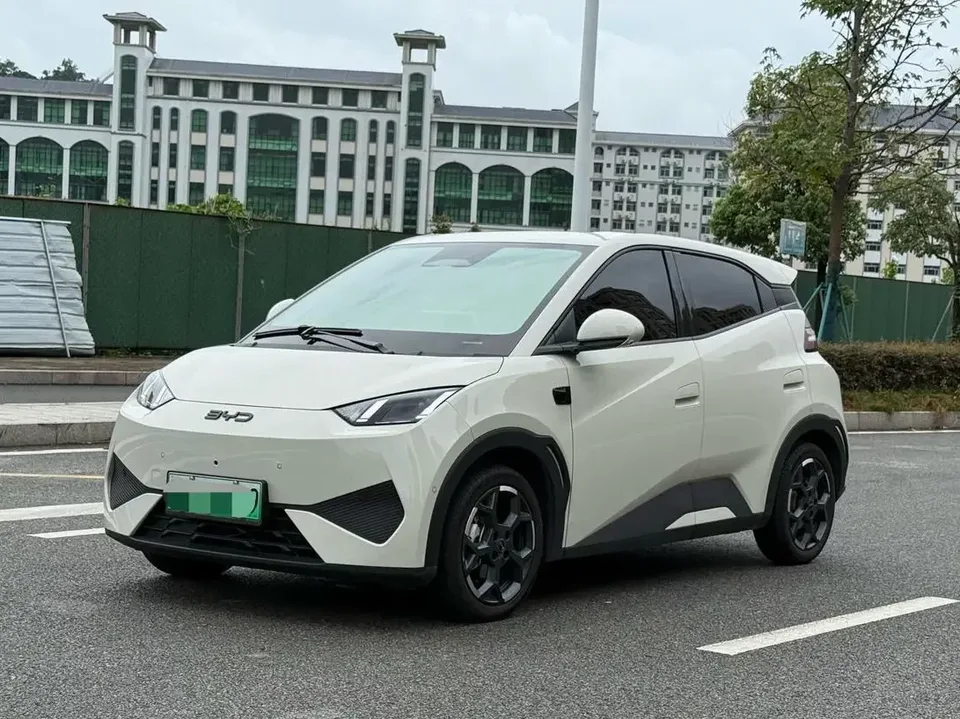 BYD Seagull seagull 2025 Smart Driving Edition 305KM Free Edition 2025 — photo 1, buy with delivery to Moscow