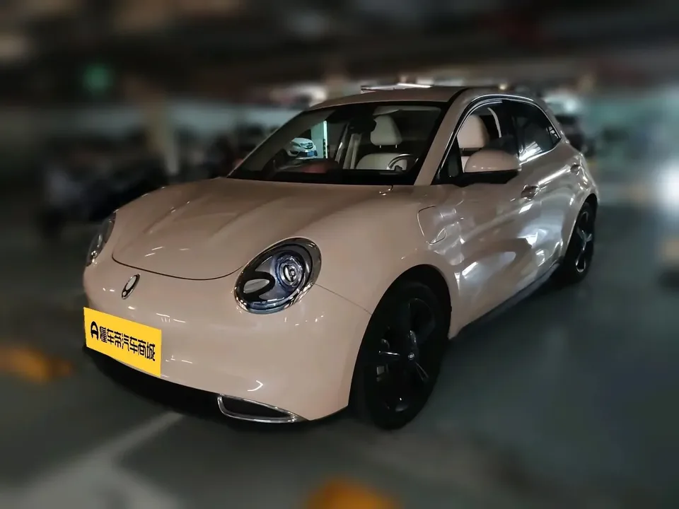 ORA Euler good cat Euler good cat 2024 401km Premium 2024 — photo 1, buy with delivery to Moscow