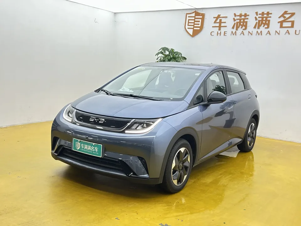 BYD Dolphin dolphin 2025 420KM Free Edition 2026 — photo 1, buy with delivery to Moscow