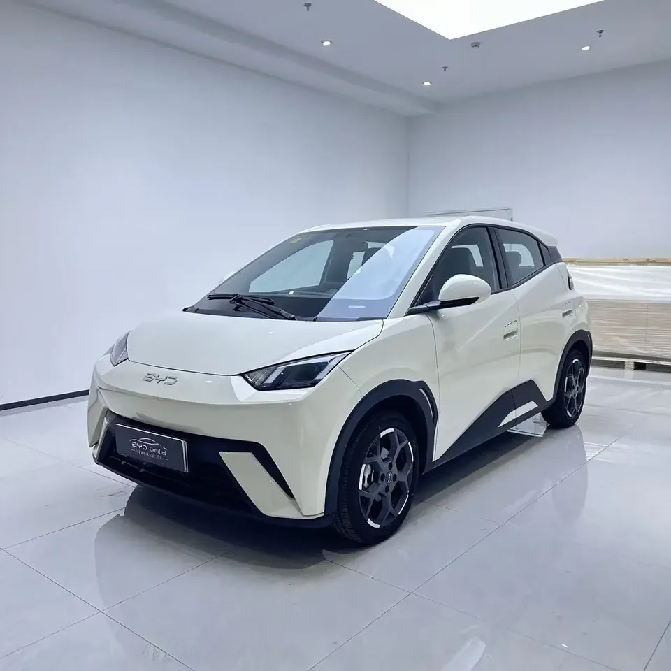 BYD Seagull seagull 2025 405KM Flying Edition 2025 — photo 1, buy with delivery to Moscow