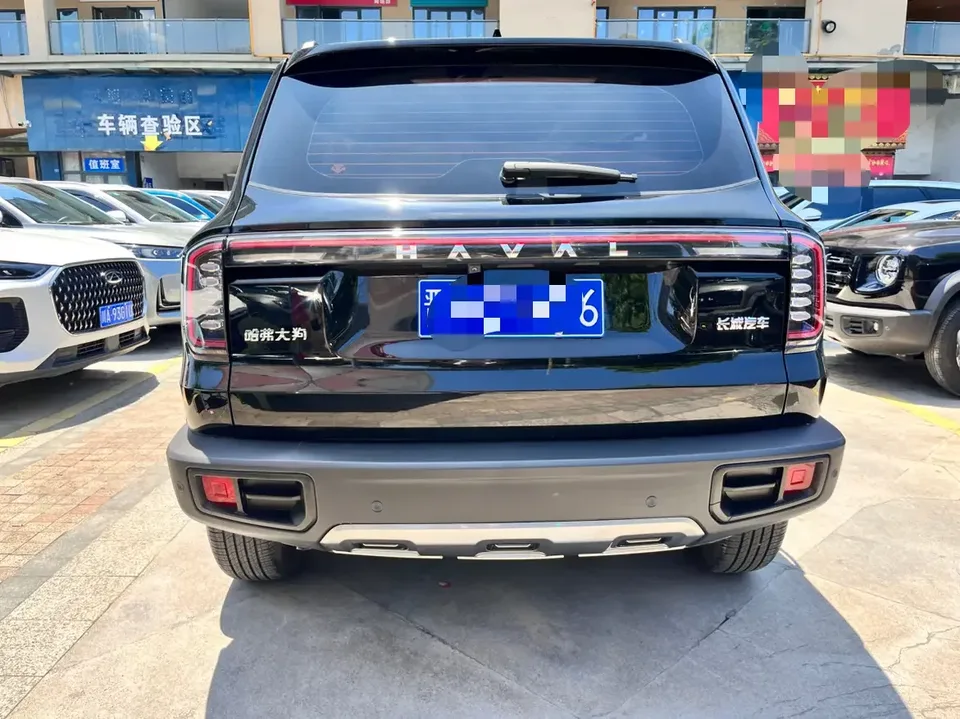 Haval Dargo Harvard dog 2024 1.5T 2WD Border Collie Edition 2024 — thumbnail 2
