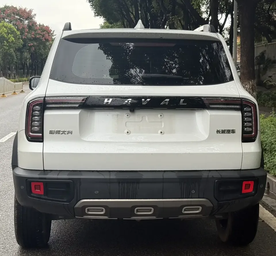 Haval Dargo Harvard dog 2022 1.5T 2WD Border Collie Edition 2023 — thumbnail 2