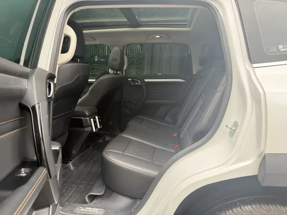 Haval Dargo Harvard dog 2022 1.5T 2WD Border Collie Edition 2023 — thumbnail 3