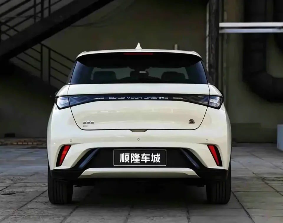 BYD Dolphin dolphin 2023 Fashion version 2023 — миниатюра 2