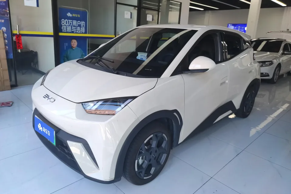 BYD Seagull seagull 2025 405KM Flying Edition 2025 — photo 1, buy with delivery to Moscow