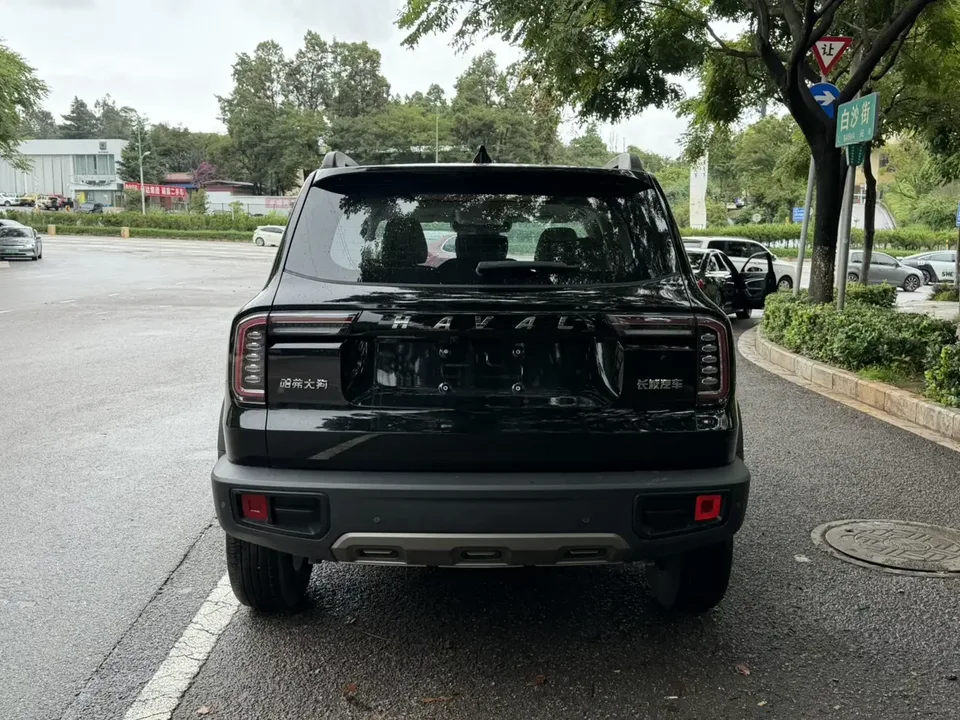 Haval Dargo Harvard dog 2022 1.5T 2WD Border Collie Edition 2023 — thumbnail 2