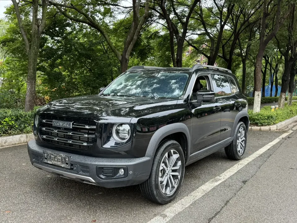 Haval Dargo Harvard dog 2022 1.5T 2WD Border Collie Edition 2023 — photo 1, buy with delivery to Moscow