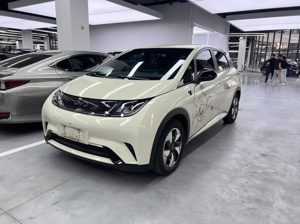 BYD Dolphin dolphin 2024 Glory Edition 420km Freedom Edition 2025 — photo 1, buy with delivery to Moscow