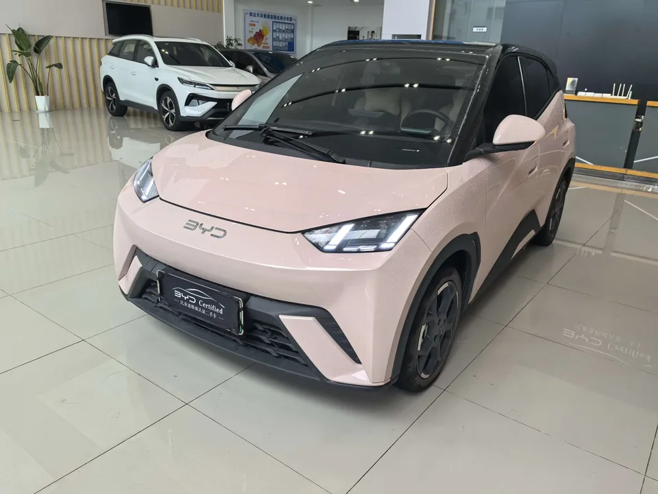 BYD Seagull seagull 2025 405KM Flying Edition 2024 — photo 1, buy with delivery to Moscow