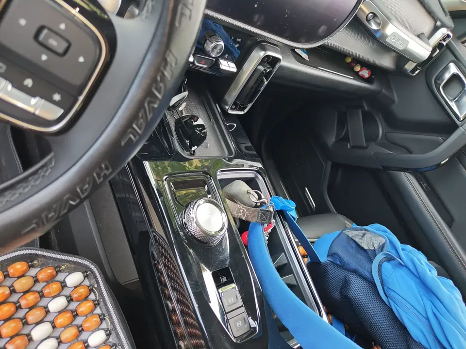 Haval Dargo Harvard dog 2022 1.5T 2WD Border Collie Edition 2022 — миниатюра 3