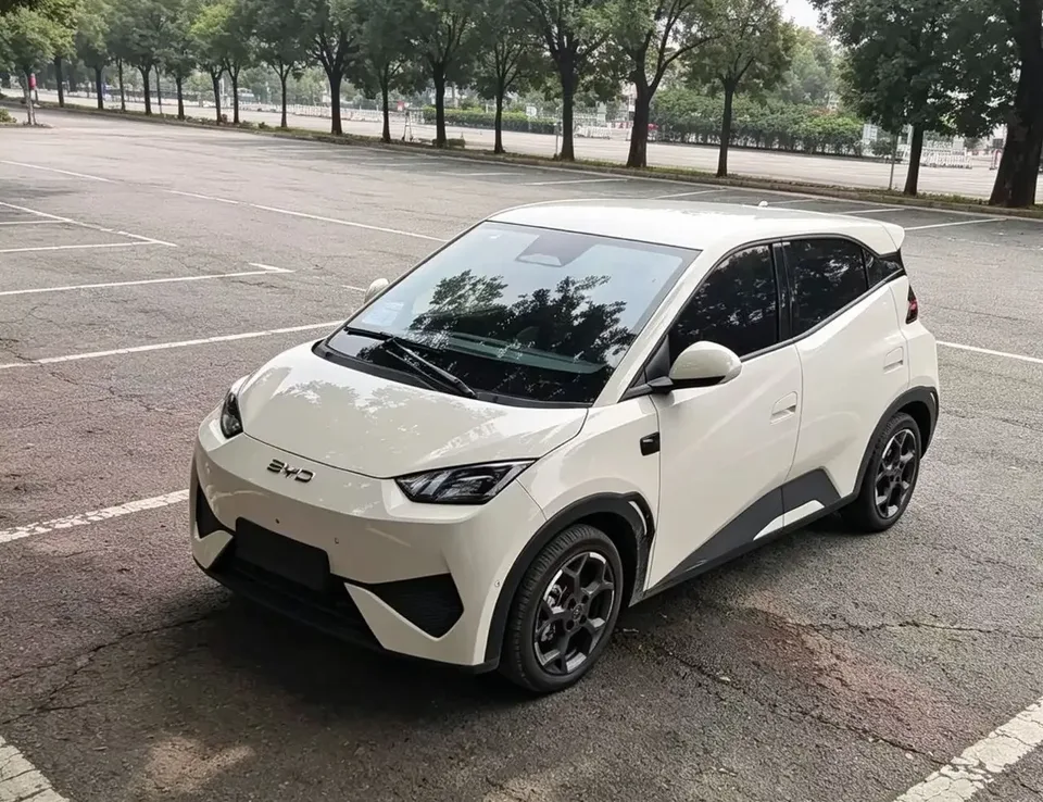 BYD Seagull seagull 2025 Smart Driving Edition 405KM Flying Edition 2025 — photo 1, buy with delivery to Moscow
