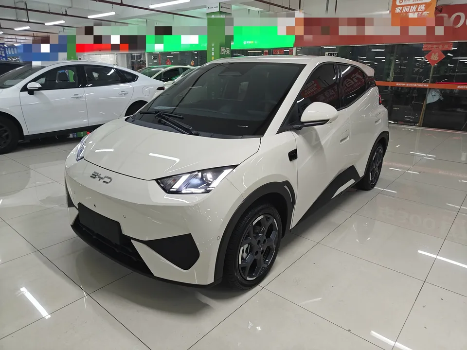 BYD Seagull seagull 2025 Smart Driving Edition 305KM Free Edition 2025 — photo 1, buy with delivery to Moscow